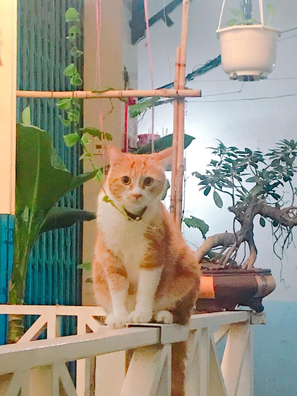 Qcub1 Homestay 호치민 외부 사진