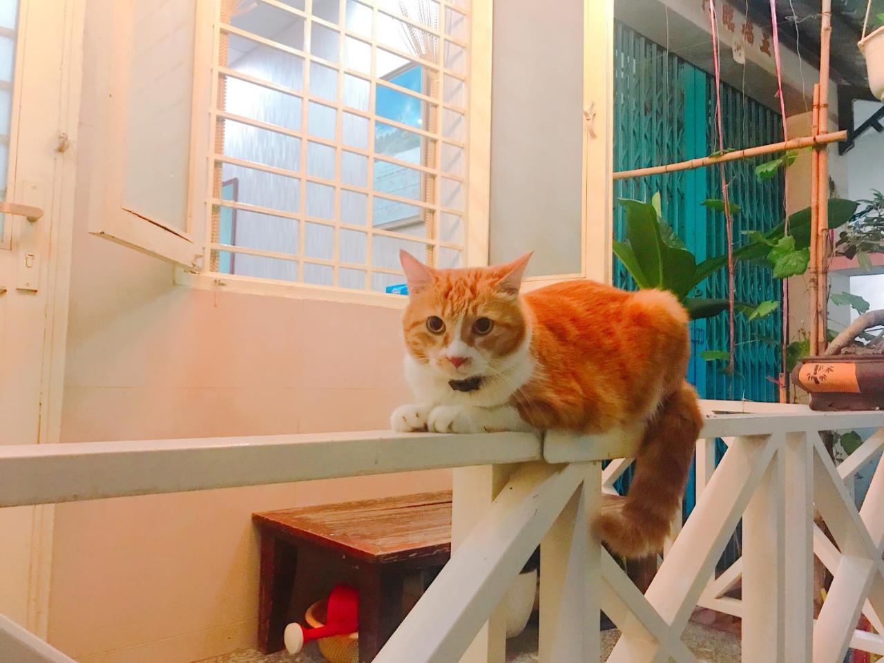 Qcub1 Homestay 호치민 외부 사진